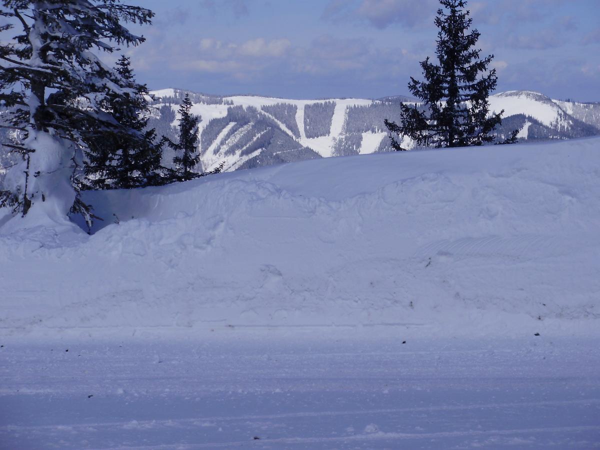 Hochkarhof Hotel Gostling an der Ybbs Bagian luar foto